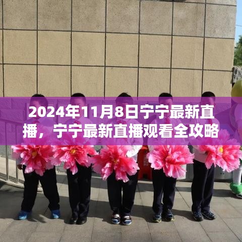 寧寧直播指南，2024年11月8日直播觀看全攻略與入門指南