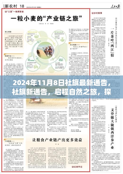 社旗啟程自然之旅，探尋內(nèi)心寧靜的秘密（最新通告）