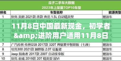 初學(xué)者與進(jìn)階用戶指南，11月8日中國最新現(xiàn)金操作指南及任務(wù)完成步驟詳解
