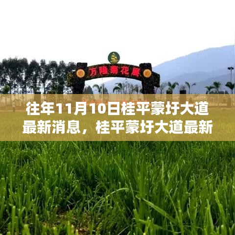 桂平蒙圩大道最新動態(tài)獲取全攻略，輕松掌握最新消息動態(tài)