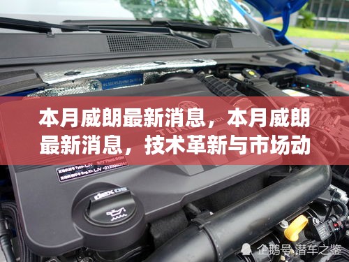 本月威朗最新動態(tài)，技術(shù)革新與市場趨勢同步更新