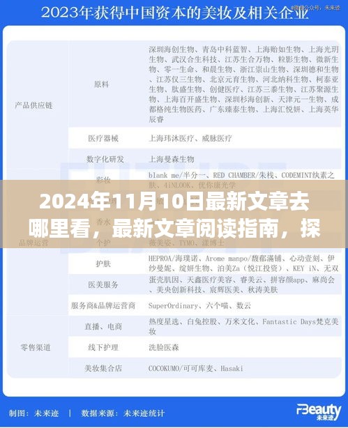探尋最新文章閱讀指南，揭秘2024年11月10日的精彩內(nèi)容