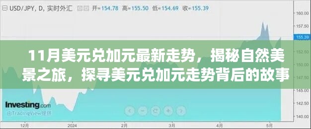 揭秘美元兌加元走勢背后的故事，自然美景之旅啟程，探尋內(nèi)心的寧靜與平和之旅