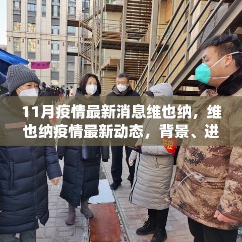 維也納疫情最新動態(tài)，背景、進展與影響概述