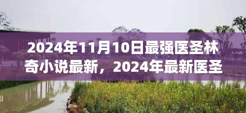 最強(qiáng)醫(yī)圣林奇小說閱讀攻略，獲取最新章節(jié)的實(shí)用指南