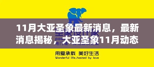 大亞圣象11月最新動(dòng)態(tài)揭秘，任務(wù)指南與技能學(xué)習(xí)全攻略發(fā)布
