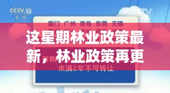 林業(yè)政策最新動(dòng)向，本周更新及其時(shí)代影響力分析