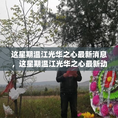 溫江光華之心最新動(dòng)態(tài)及消息，一站式獲取信息的全面指南