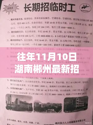 湖南郴州最新招聘信息概覽，往年11月10日求職熱點(diǎn)揭秘