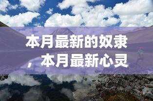 第2051頁
