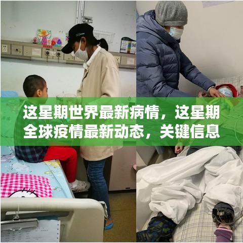全球疫情最新動(dòng)態(tài)，本周關(guān)鍵信息與案例分析匯總報(bào)告