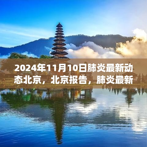 北京肺炎最新動態(tài)深度觀察，報告與影響，2024年11月10日最新進展