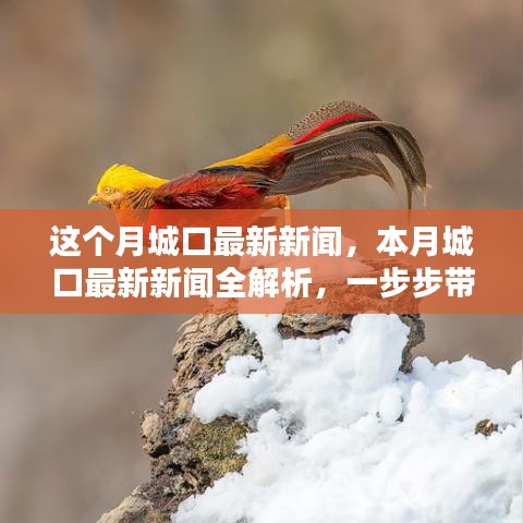 本月城口最新新聞解析，掌握獲取新聞資訊的技能