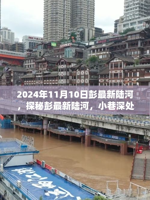 探秘彭最新陸河，小巷深處的味覺奇遇之旅（2024年11月10日）