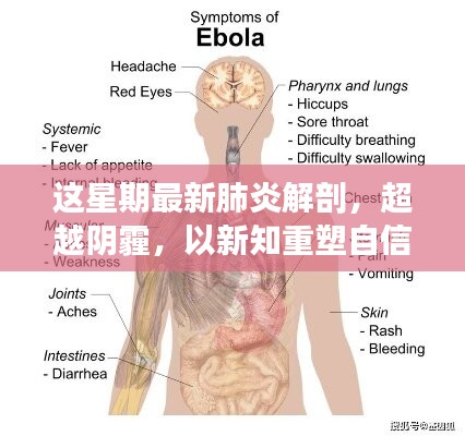 超越陰霾，最新肺炎解剖啟示錄，重塑信心與新知的探索