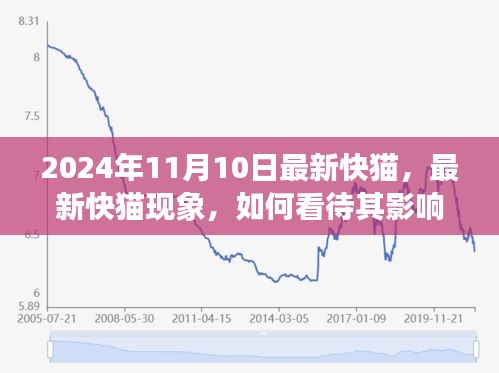 最新快貓現(xiàn)象，影響與未來發(fā)展觀察（2024年觀察點(diǎn)）