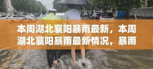 湖北襄陽本周暴雨最新情況，影響、應對措施全解析