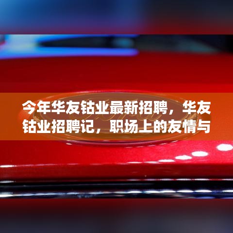 華友鈷業(yè)最新招聘探秘，職場(chǎng)友情與家的溫馨融合