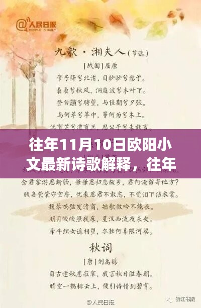 歐陽小文詩歌解析，詩意深度解讀與情感探索——往年11月10日詩歌解讀分享