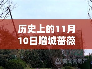 歷史上的11月10日增城薔薇國際房價(jià)揭秘，最新價(jià)格一覽表！