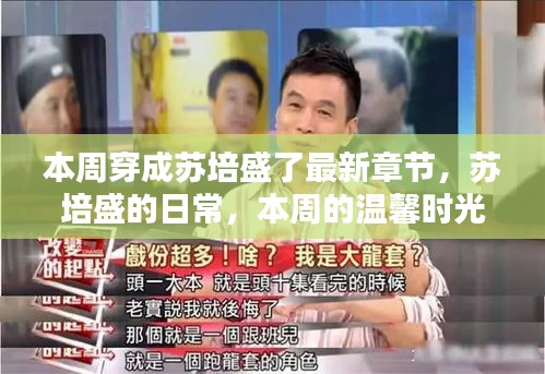 本周蘇培盛的日常，溫馨時光與友情紐帶最新章節(jié)發(fā)布