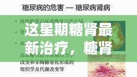 糖腎最新治療進(jìn)展，本周小糖治愈周記，糖腎之光照亮希望之路