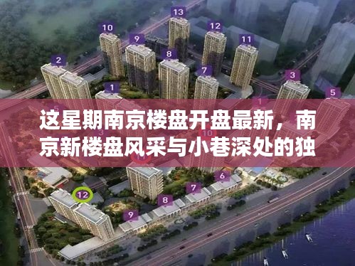 南京新樓盤風采與小巷獨特小店探索，本周樓盤開盤最新資訊