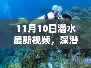 揭秘深潛新紀元，潛水最新視頻的時代意義與影響（11月10日更新）