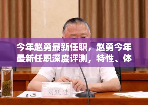 趙勇最新任職深度解析，特性、體驗(yàn)、競(jìng)品對(duì)比及用戶群體全面剖析