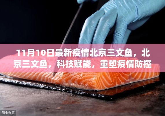 北京三文魚疫情防控新篇章，科技賦能重塑防線與前沿體驗(yàn)解讀