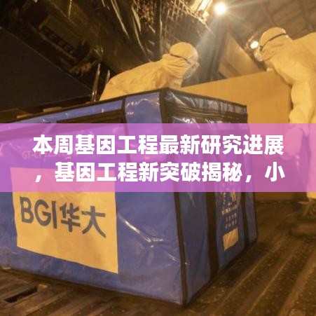 基因工程新突破揭秘，小巷深處的未來科技實驗室本周最新進展報道！
