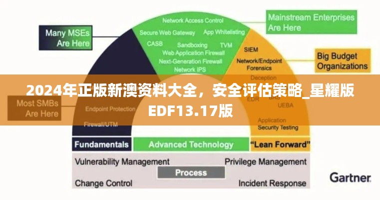 2024年正版新澳資料大全，安全評(píng)估策略_星耀版EDF13.17版