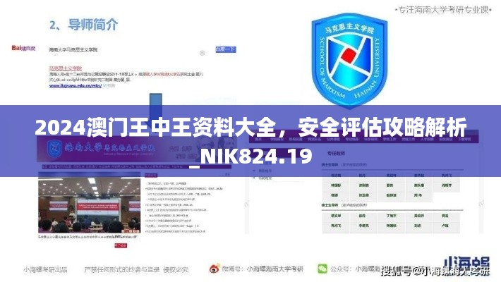 2024澳門王中王資料大全，安全評估攻略解析_NIK824.19