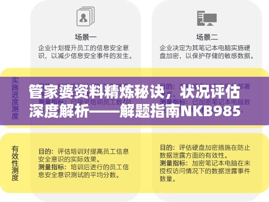 管家婆資料精煉秘訣，狀況評(píng)估深度解析——解題指南NKB985.33