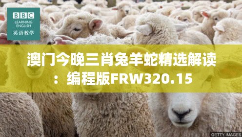 澳門(mén)今晚三肖兔羊蛇精選解讀：編程版FRW320.15