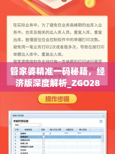 管家婆精準一碼秘籍，經(jīng)濟版深度解析_ZGO289.56
