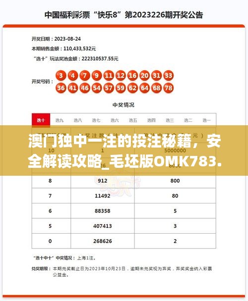 澳門獨中一注的投注秘籍，安全解讀攻略_毛坯版OMK783.49