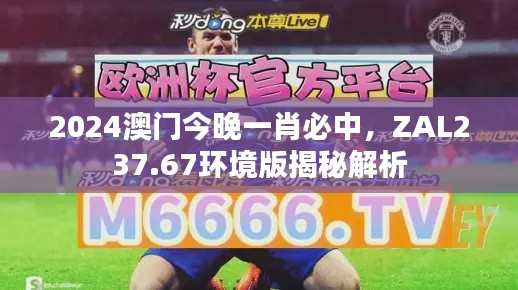 2024澳門今晚一肖必中，ZAL237.67環(huán)境版揭秘解析