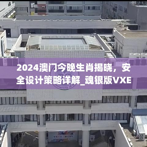 2024澳門今晚生肖揭曉，安全設(shè)計(jì)策略詳解_魂銀版VXE642.92