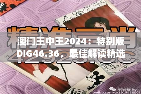 澳門王中王2024：特別版DIG46.36，最佳解讀精選版