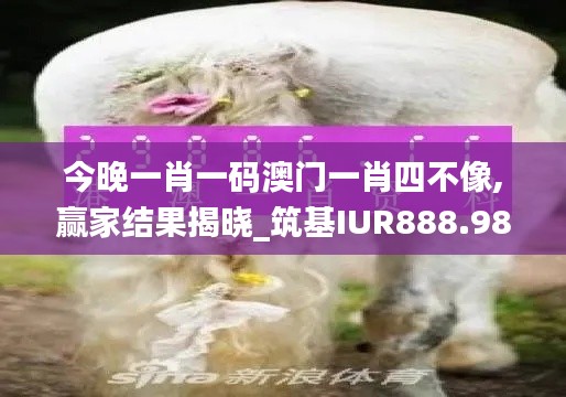 zhangjingniaohui 第4頁