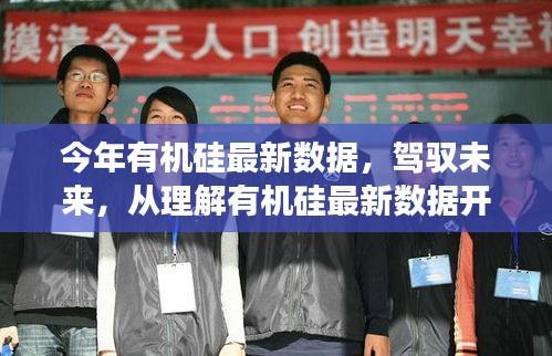 掌握未來，有機硅最新數據解析與趨勢洞察