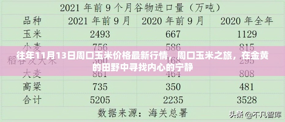往年11月13日周口玉米價(jià)格更新，田野探索與內(nèi)心寧?kù)o之旅