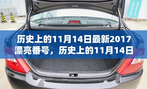 歷史上的11月14日最新2017漂亮番號(hào)，歷史上的11月14日，探尋那些閃耀的瞬間與美好記憶??