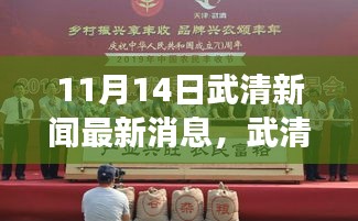 武清新聞最新消息，踏秋探尋自然秘境，心靈之旅啟程