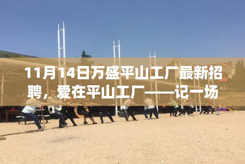 愛(ài)在平山工廠，最新招聘與求職之旅啟程