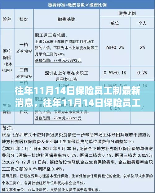 三大要點(diǎn)深度解讀，往年11月14日保險(xiǎn)員工制最新消息與更新解讀