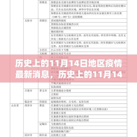 歷史上的11月14日全球疫情進(jìn)展與地區(qū)動(dòng)態(tài)分析，最新消息及進(jìn)展概述