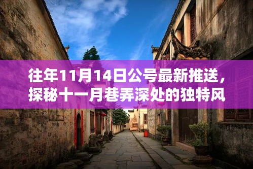 揭秘十一月巷弄深處的隱藏特色小店，獨(dú)特風(fēng)味揭曉日