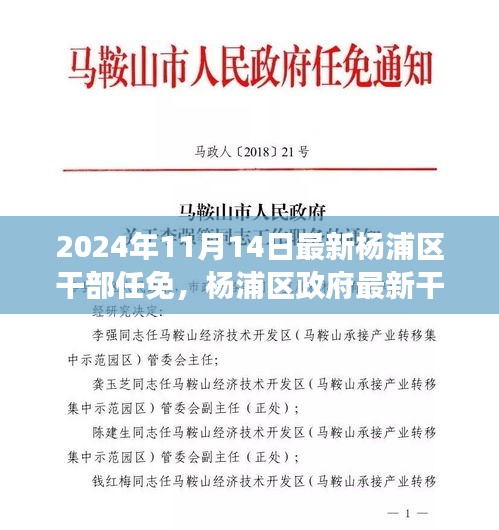 楊浦區(qū)政府最新干部任免動(dòng)態(tài)，聚焦新任干部及未來展望（更新至2024年）